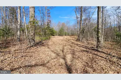 1605 Paddys Run Road, Star Tannery, VA 22654 - Photo 9