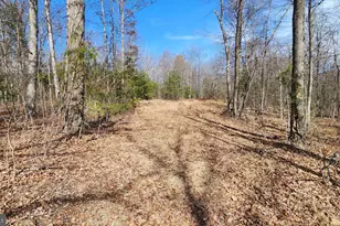 1605 Paddys Run Rd, Star Tannery, VA 22654 - Photo 9