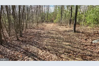 1605 Paddys Run Road, Star Tannery, VA 22654 - Photo 11