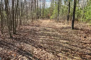 1605 Paddys Run Rd, Star Tannery, VA 22654 - Photo 11