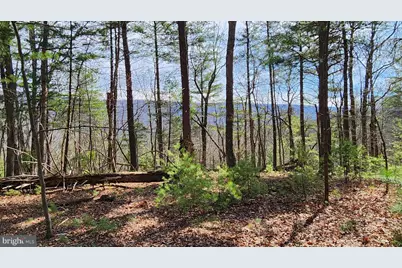 1605 Paddys Run Road, Star Tannery, VA 22654 - Photo 5