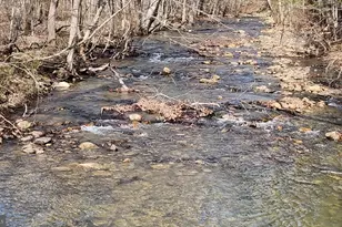 1605 Paddys Run Rd, Star Tannery, VA 22654 - Photo 9