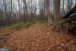 188 New Market Reservoir Rd, New Market, VA 22844 - Photo 43