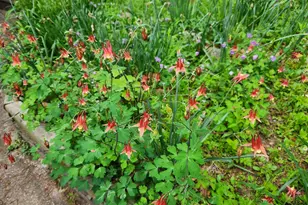 188 New Market Reservoir Rd, New Market, VA 22844 - Photo 61