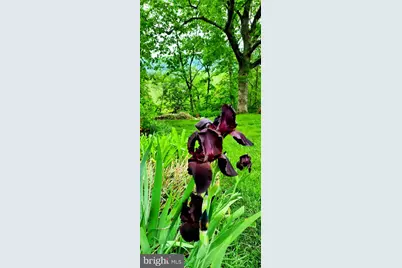 74 Manor Drive, Edinburg, VA 22824 - Photo 71