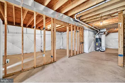 355 Hoover Road, Woodstock, VA 22664 - Photo 41