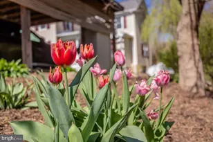 143 Scheffer Gap Rd, Maurertown, VA 22644 - Photo 45