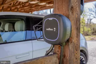 143 Scheffer Gap Rd, Maurertown, VA 22644 - Photo 49