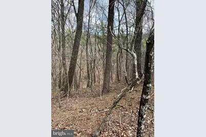 0 Valley View, Basye, VA 22810 - Photo 3