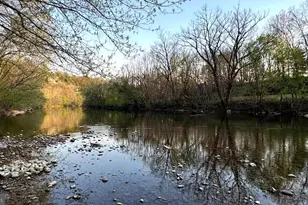 1008 Shipwreck Dr, New Market, VA 22844 - Photo 43