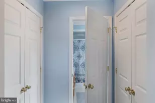 817 Orkney Grade, Basye, VA 22810 - Photo 41