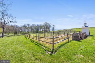 989 Swover Creek Road, Edinburg, VA 22824 - Photo 105