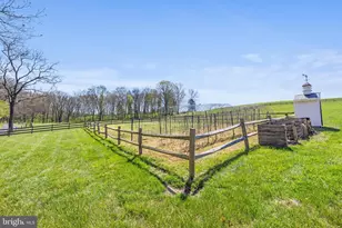 989 Swover Creek Rd, Edinburg, VA 22824 - Photo 105