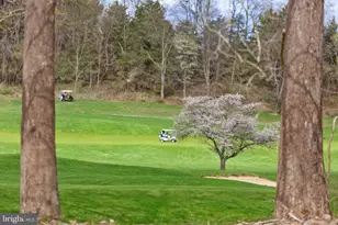 549 Arrowhead Ln, New Market, VA 22844 - Photo 31