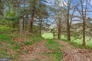549 Arrowhead Ln, New Market, VA 22844 - Photo 27