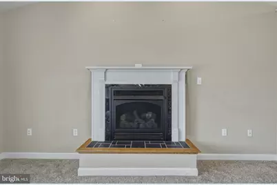 515 Hollingsworth Road, Woodstock, VA 22664 - Photo 19