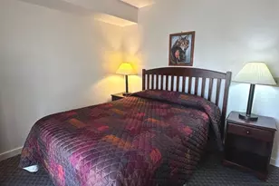 393 Spitz Ln, Basye, VA 22810 - Photo 33