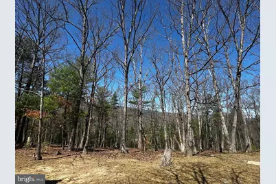 393 Spitz Lane #99, Basye, VA 22810 - Photo 79