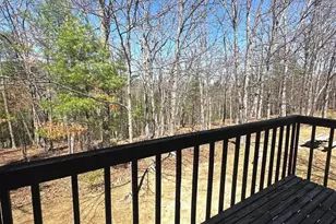 393 Spitz Ln, Basye, VA 22810 - Photo 49