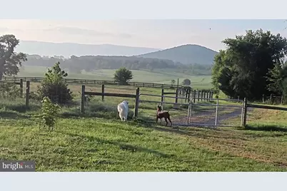 867 Kibler Road, Quicksburg, VA 22847 - Photo 15