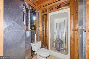 549 Mountain Laurel Dr, Mount Jackson, VA 22842 - Photo 23