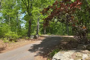 549 Mountain Laurel Dr, Mount Jackson, VA 22842 - Photo 35