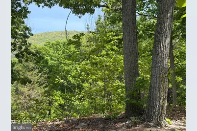549 Mountain Laurel Drive, Mount Jackson, VA 22842 - Photo 25