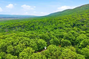 549 Mountain Laurel Dr, Mount Jackson, VA 22842 - Photo 39