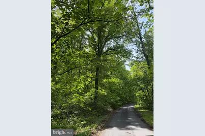 549 Mountain Laurel Drive, Mount Jackson, VA 22842 - Photo 27