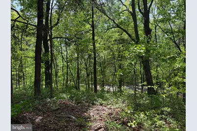 549 Mountain Laurel Drive, Mount Jackson, VA 22842 - Photo 23