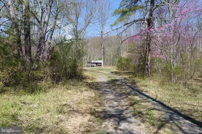 3336 Wolf Gap Road, Edinburg, VA 22824 - Photo 3