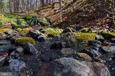 3336 Wolf Gap Road, Edinburg, VA 22824 - Photo 7