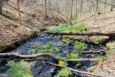 3336 Wolf Gap Road, Edinburg, VA 22824 - Photo 5