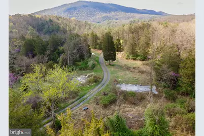 3336 Wolf Gap Road, Edinburg, VA 22824 - Photo 11