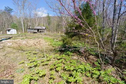 3336 Wolf Gap Road, Edinburg, VA 22824 - Photo 1