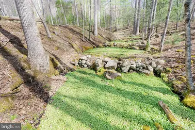 3336 Wolf Gap Road, Edinburg, VA 22824 - Photo 9