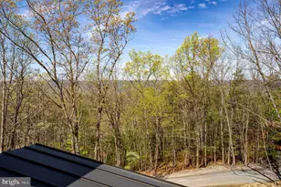 88 Mallard Dr, Basye, VA 22810 - Photo 11