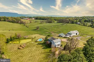 3691 Conicville Rd, Mount Jackson, VA 22842 - Photo 49