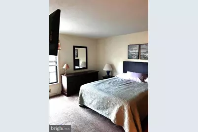 529 King Street, Basye, VA 22810 - Photo 43