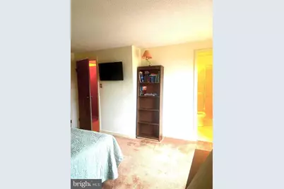 529 King Street, Basye, VA 22810 - Photo 39