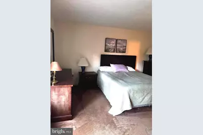 529 King Street, Basye, VA 22810 - Photo 41