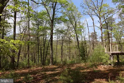 190 Tanglewood Lane, Orkney Springs, VA 22845 - Photo 15