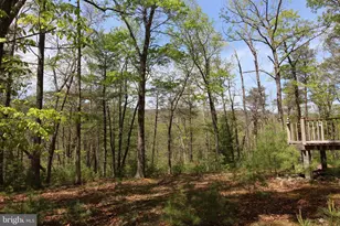 190 Tanglewood Ln, Orkney Springs, VA 22845 - Photo 15