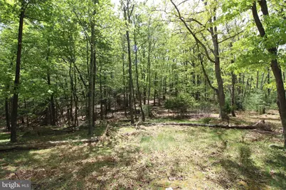 190 Tanglewood Lane, Orkney Springs, VA 22845 - Photo 17