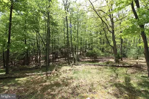 190 Tanglewood Ln, Orkney Springs, VA 22845 - Photo 17