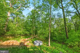 816 Hilltop Ln, Mount Jackson, VA 22842 - Photo 13