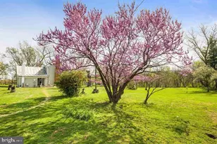 574 Jiggady Rd, New Market, VA 22844 - Photo 11