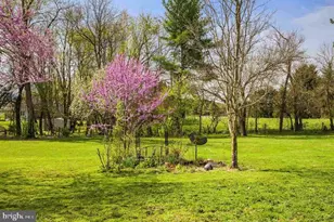 574 Jiggady Rd, New Market, VA 22844 - Photo 57