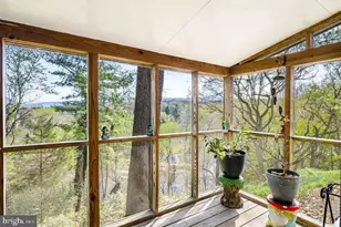 574 Jiggady Rd, New Market, VA 22844 - Photo 65