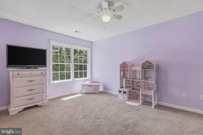 139 Maple Avenue, Mount Jackson, VA 22842 - Photo 31